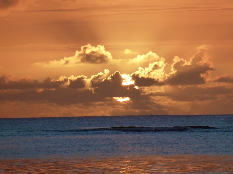 Port Louis Markt Botanikgarden 231 - Arbeitskopie 2
