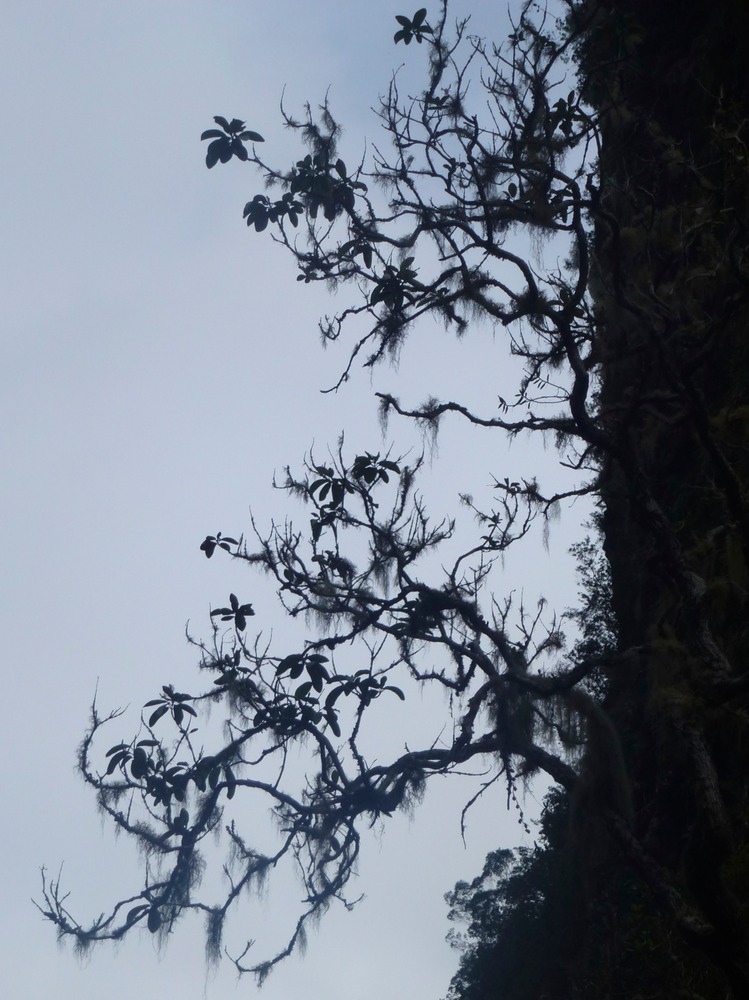 Silaos Wanderungen 091 - Arbeitskopie 2