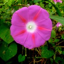 Silaos Wanderungen 195 (2) - Arbeitskopie 2