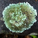 Silaos Wanderungen 243 - Arbeitskopie 2