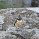 Silaos Wanderungen 305 - Arbeitskopie 2