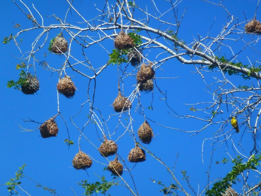 St. Paul Cimetiere St. Gilles 088