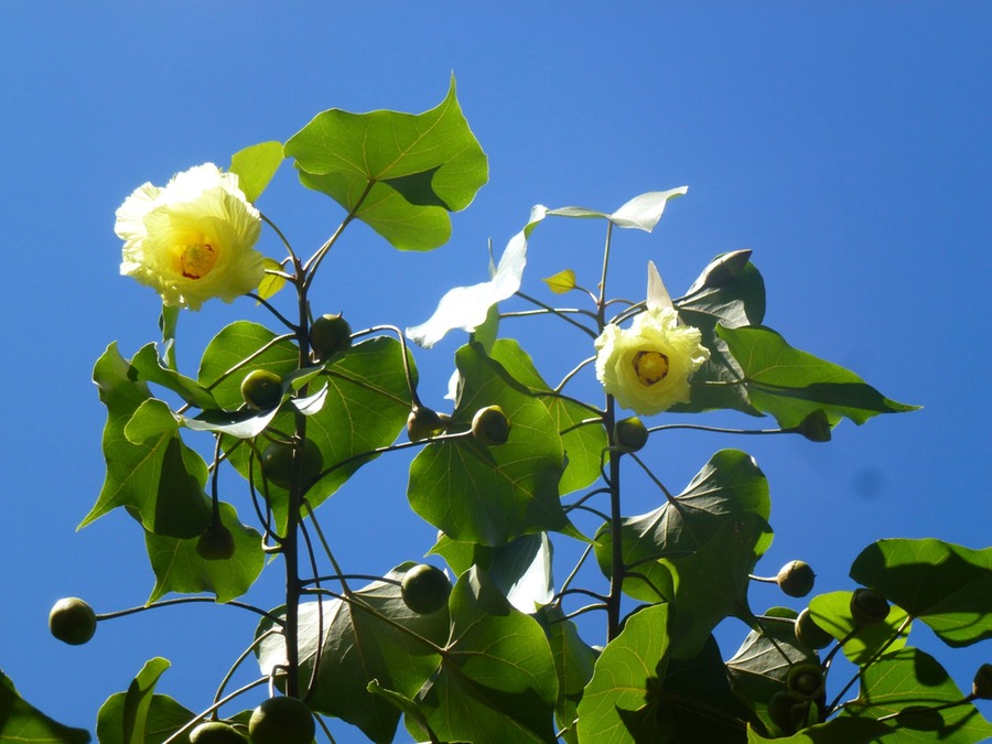 St. Paul Cimetiere St. Gilles 036