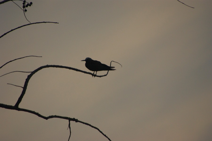 Tana Edwige Königspalast 009