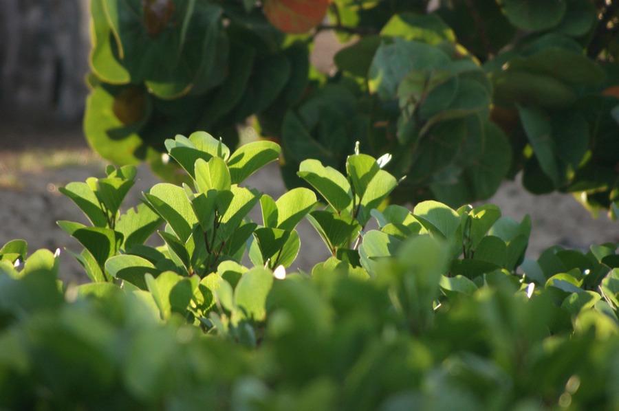 Tana Edwige Königspalast 089